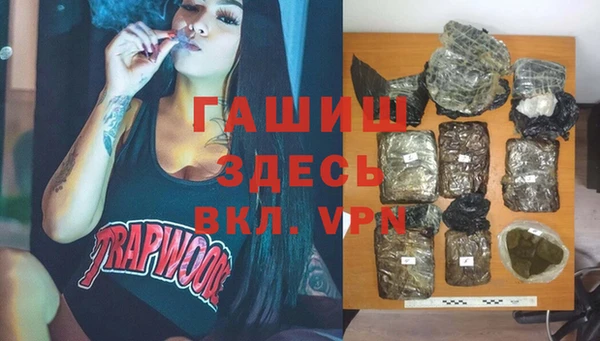 индика Заводоуковск