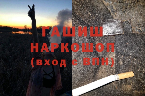 индика Заводоуковск